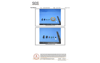 环保测试报告 ROHS+卤素 CANEC25009106001