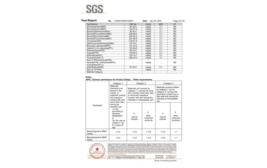 环保测试报告 ROHS+卤素 CANEC25009106001