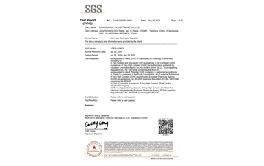 环保测试报告 SVHC CANEC25009119801