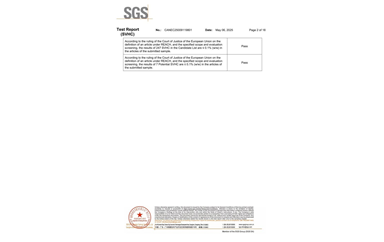环保测试报告 SVHC CANEC25009119801