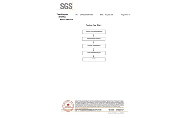 环保测试报告 SVHC CANEC25009119801