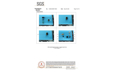 环保测试报告 SVHC CANEC25009119801